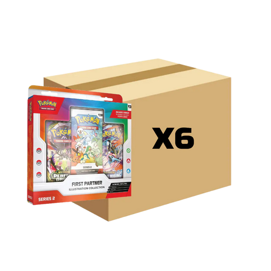 First Partner series 2 - Case of 6